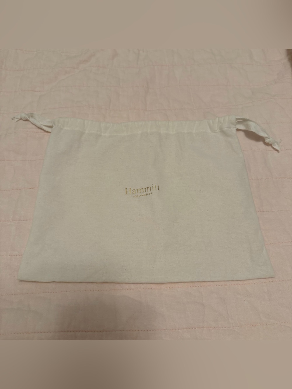 Small Hammitt Dustbag
